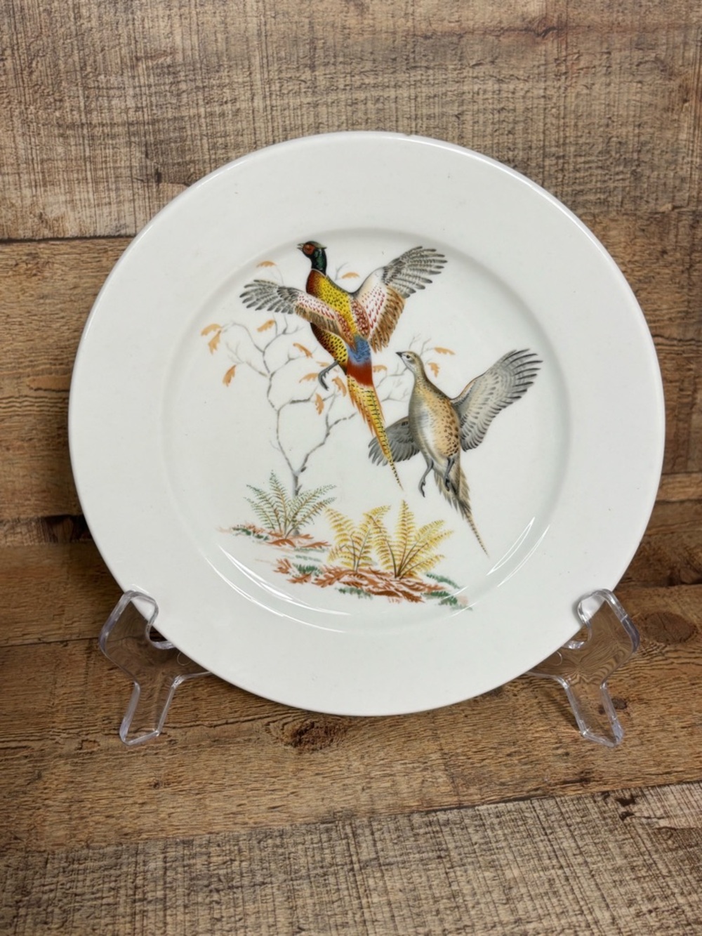 Game Birds SCHUMANN BAVARIA PHEASANT  Wall  Hanging Decorative Plate 8” Germany*
